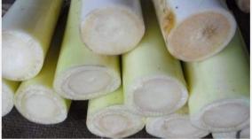 skin-problem-vazhai-thandu-juice