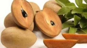 sapotta-fruit-cholestrol-problem-health-tips