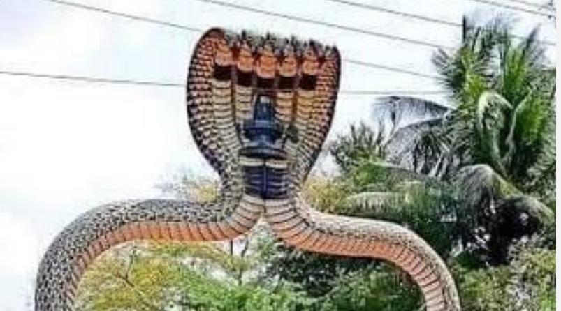 pampuranathar-temple-thirupampuram