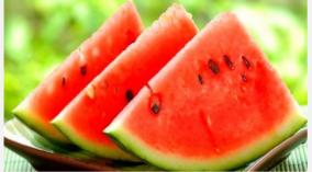 summer-fruits-health-tips