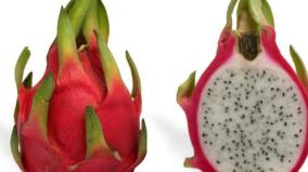 dragon-fruits-health-tips