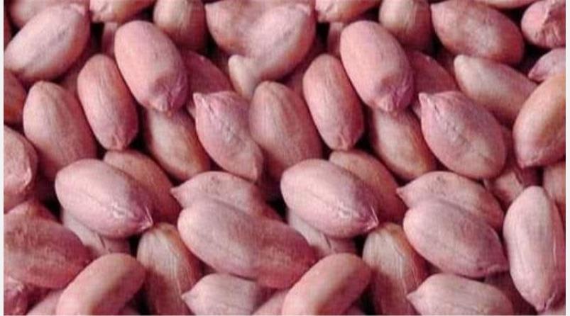 verkadalai-cholesterol-health-tips