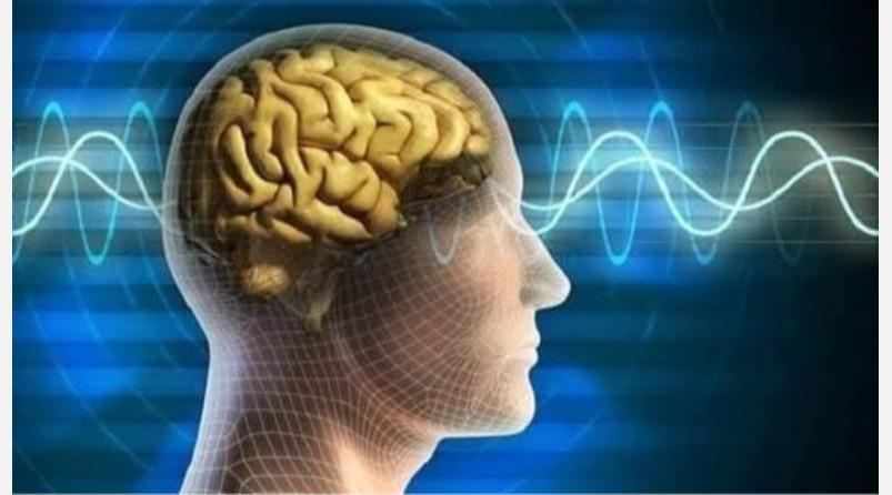 brain-memory-health-tips