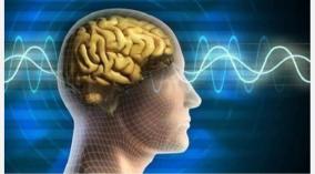 brain-memory-health-tips