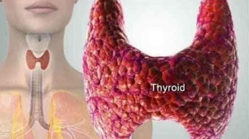 thyroid-healthy-food-tips