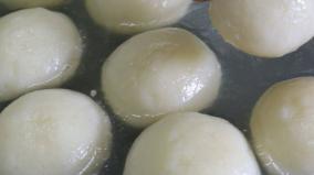 tasty-rasa-gulla-recipe