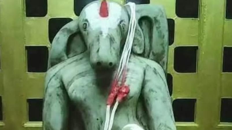 simmasalam-sri-lakshmi-varaha-narasimma-perumal-temple