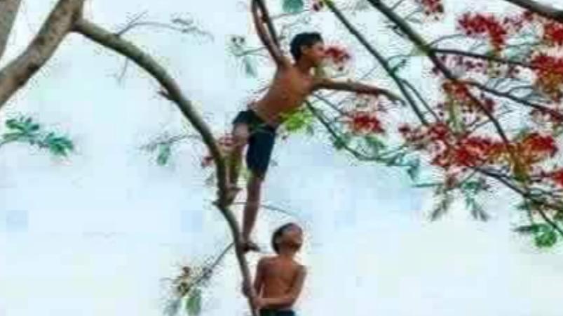 sappathi-kalli-palam-short-story