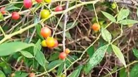 husband-wife-sex-health-tips