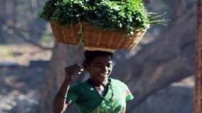 keera-karamma-short-story