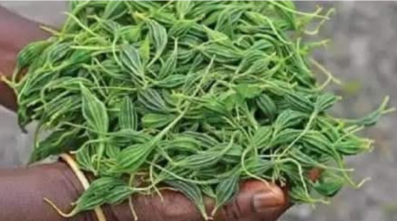 aids-care-health-tips