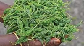 aids-care-health-tips