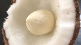 thengai-poo-health-tips