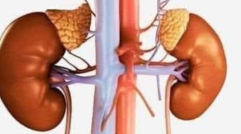 kidney-care-health-tips