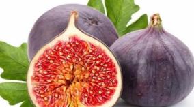 fig-fruit-health-tips