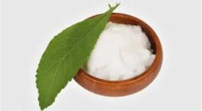 patchai-karpuram-poojai-remedy