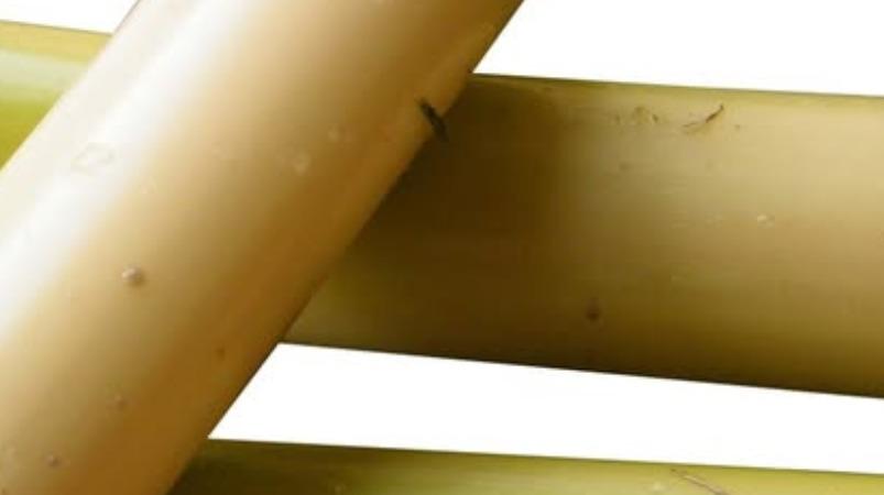 vazhai-thandu-juice-health-tips