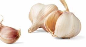 garlic-health-tips