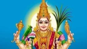 aadi-amman-poojai-palangal