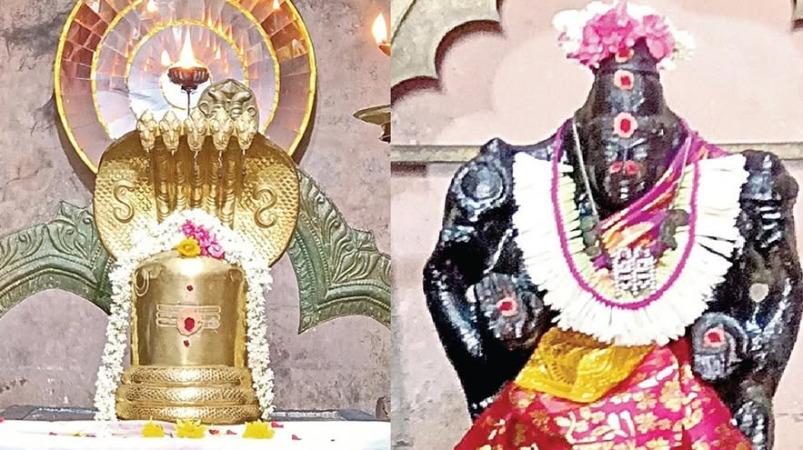 naga-thosam-chidambaram-anantheswar-temple