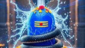 siva-poojai-karadi