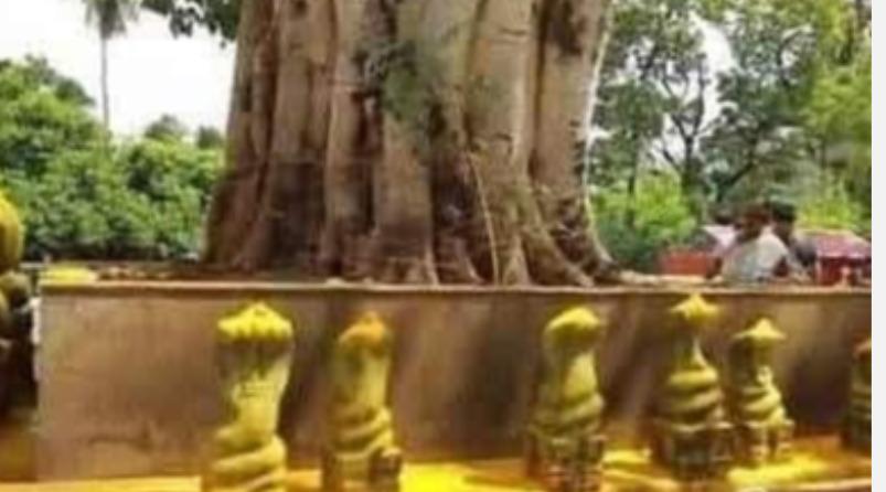 aadipuram-naga-chaturthi