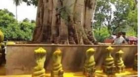 aadipuram-naga-chaturthi
