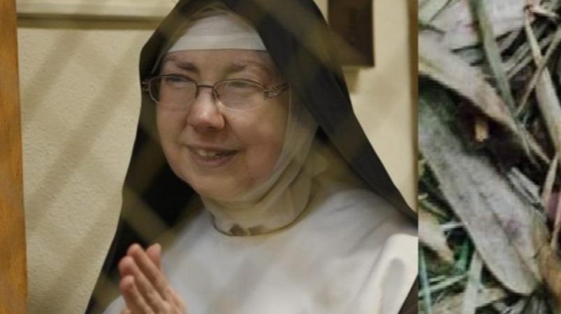 regis-victoria-rani-short-story