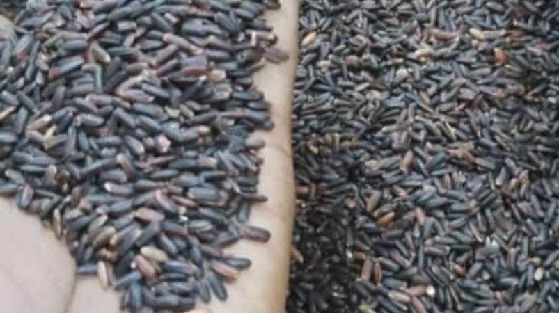 cholesterol-reduce-health-tips