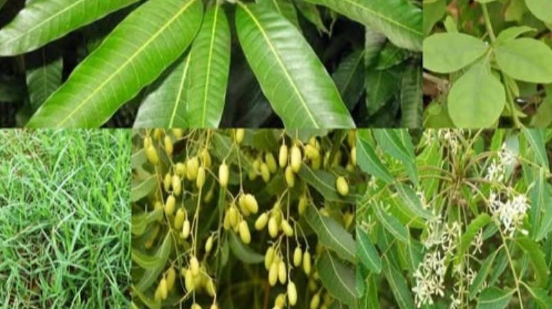 cancer-care-health-tips