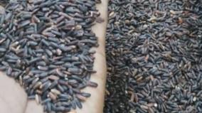 cholesterol-reduce-health-tips