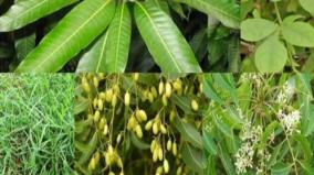 cancer-care-health-tips