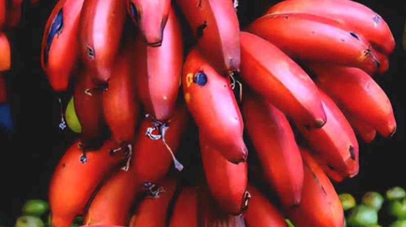 chevvazhai-banana-fruit-health-tips