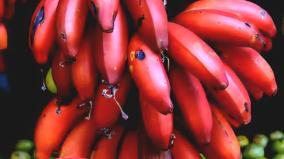 chevvazhai-banana-fruit-health-tips