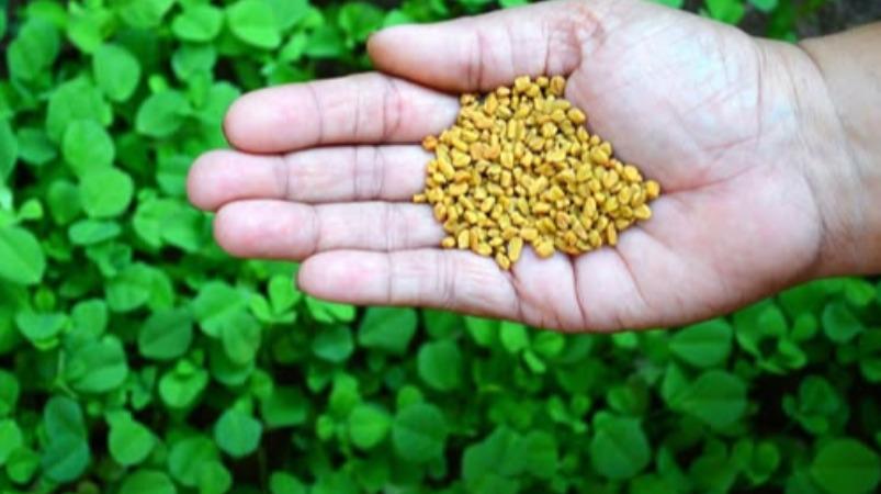 venthaya-keerai-health-tips