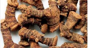 china-ginger-health-tips