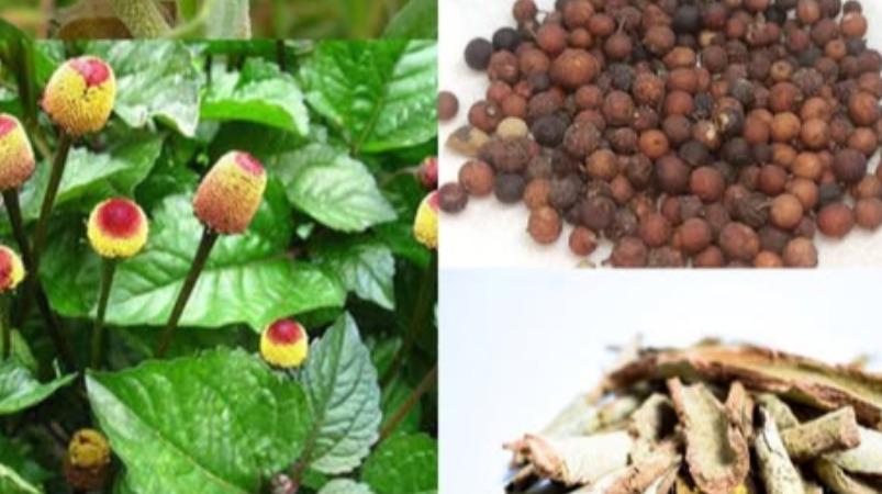 pakkavatham-stroke-health-tips