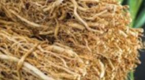 vetti-veru-health-tips