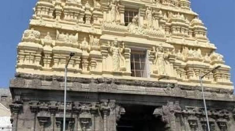 pallikonda-perumal-temple