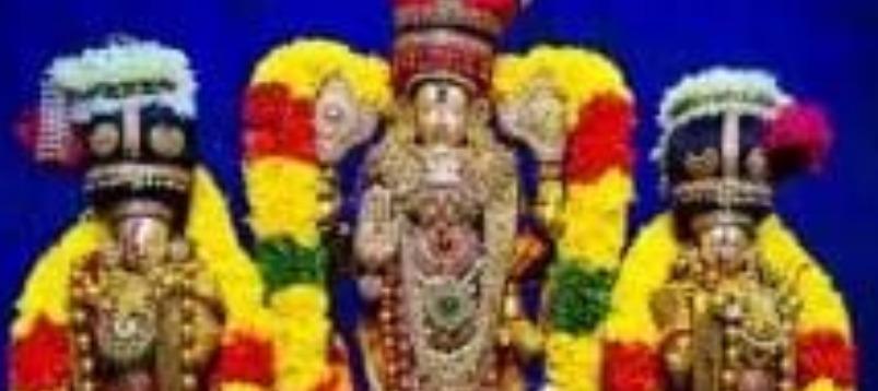 tiruvallur-veera-ragava-perumal-koil