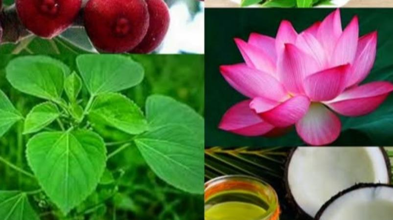 women-fertility-health-tips