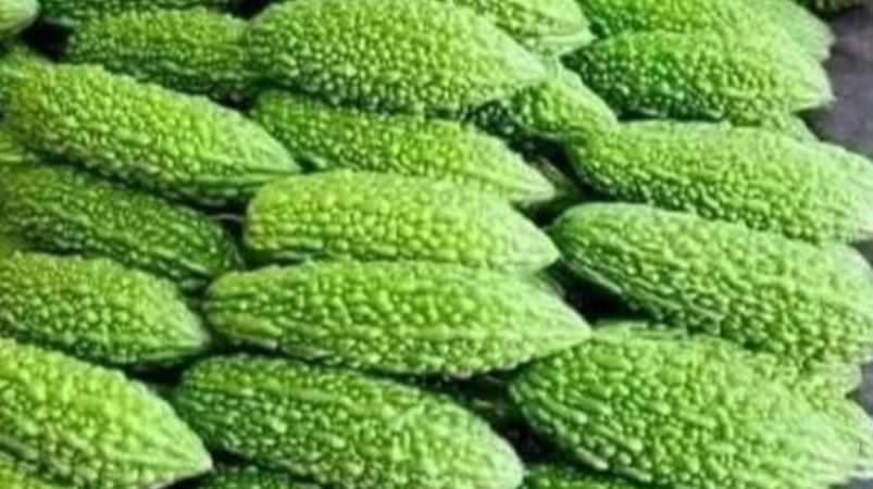 stuffed-bitter-gourd-pavakkai-health-benefits