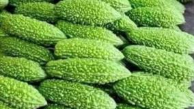 stuffed-bitter-gourd-pavakkai-health-benefits