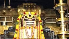 thanjai-pragadeeswar-temple