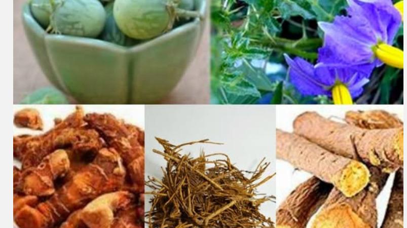 sinus-problem-health-tips