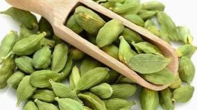 asthuma-elakkai-health-tips