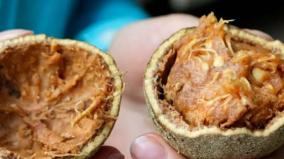 vilam-fruit-health-tips