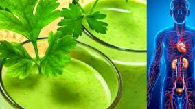 kothamalli-juice-health-tips