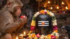 kurangu-anil-muttam-valeeswarar-temple