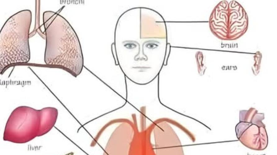 human-body-care-health-tips